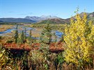 Podzim na Aljašce. Aljaška patří na podzim mezi nejkrásnější oblasti na světě....
