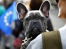 Asi tisícovka lidí se spolu se svými psy úastnila pochodu centrem Londýna na...