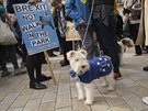 Asi tisícovka lidí se dnes spolu se svými psy úastnila pochodu centrem Londýna...