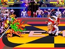 Capcom Beat 'Em Up Bundle - Battle Circuit