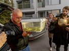 Odborník Tomá Bublík ukazuje odchycenou mambu zelenou (5. 10. 2018).