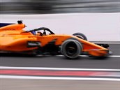 Fernando Alonso ze stáje McLaren při tréninku na VC Japonska