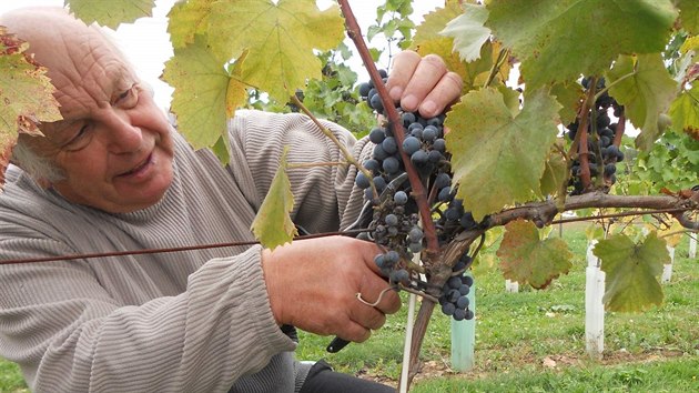 Svou velkou vinici založil Badalec zjara roku 2016. Vlastní víno už ale dělá déle.