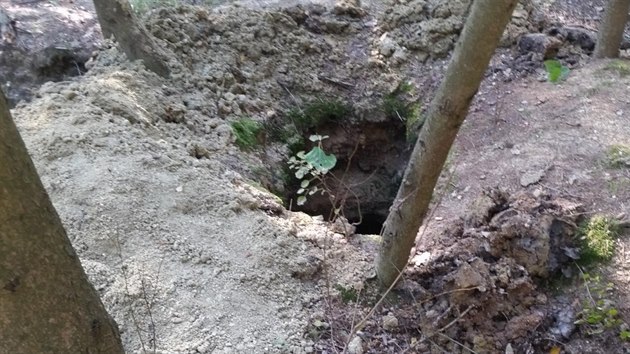 Policie chytila v lese u Kamennho jezda dva mladky, kte tam hledali vltavny.