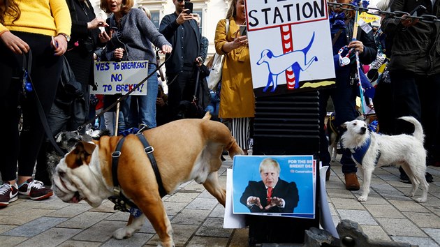 Asi tiscovka lid se spolu se svmi psy astnila pochodu centrem Londna na protest proti chystanmu vystoupen Britnie z Evropsk unie