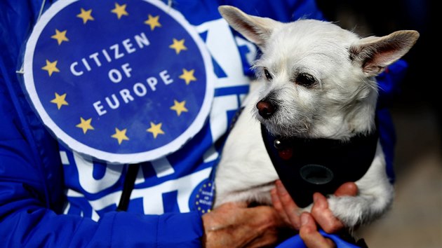 Asi tiscovka lid se spolu se svmi psy astnila pochodu centrem Londna na protest proti chystanmu vystoupen Britnie z Evropsk unie.