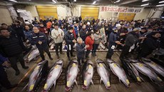 Rybí trh Cukidi patil k nejnavtvovanjím turistickým atrakcím Japonska.