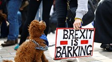 Asi tisícovka lidí se spolu se svými psy úastnila pochodu centrem Londýna na...