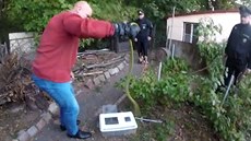 Policie zveejnila video z odchytu smrteln jedovaté mamby zelené (5.10.2018)