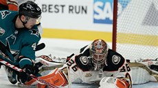 Tomá Hertl se trefil v úvodním zápase nové sezony NHL za San Jose Sharks.
