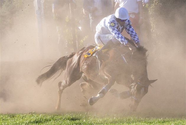 Momentka ze 128. roníku Velké pardubické.