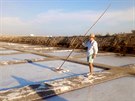 Sekrabávání soli z hladiny mlkých bazénk je na slunci nároná práce.