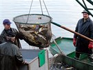 V Behch na Pelousku zaal vlov rybnka Bukov. Veterinrn sprva nadila...