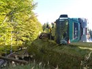 P�evr�cen� kamion s d�evem zablokoval na v�ce ne� �est hodin silnici na...