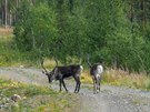 Sobi. Okres Kiruna, védsko