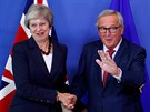 Britská premiérka Theresa Mayová dorazila na summit v Bruselu