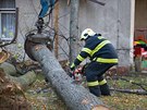 Hasii likviduj strom, kter spadl na budovu hejnick kolky Zvoneek.