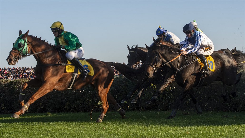 Velká pardubická 2018: zleva Bridgeur v sedle s Jaroslavem My�kou, Nikas s...