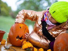 K píprav na podzimní anglosaský lidový svátek Halloween (31. íjna) dýn...