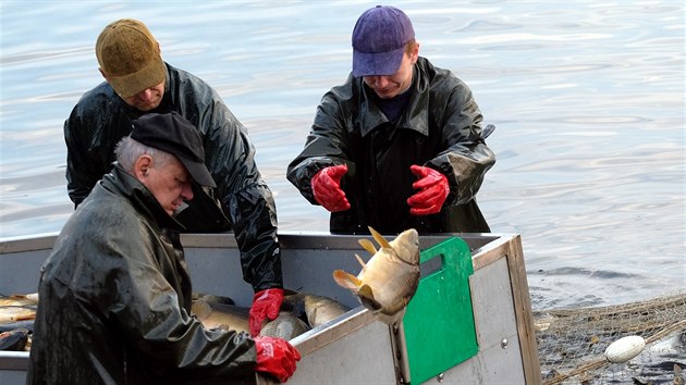V Behch na Pelousku zaal vlov rybnka Bukov. Veterinrn sprva nadila likvidaci vech ryb kvli herpes viru.