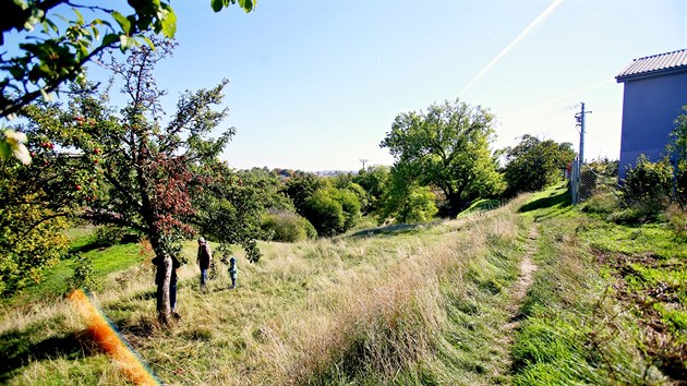 Prodn pamtka Andlka a ertovka se rozprostr na ploe 3,6 hektaru. Hnzd tam teba konipas horsk nebo lejsek ed. Pokud by doten orgny chtly vstavb zamezit, musely by sloit vysvtlovat, jak stavba naru zdej produ.