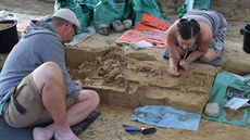 Archeologové u Drasenhofenu nali pozstatky mamut, ale i jiných zvíat.