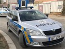 K prsaku vody do kolejit stanice metra Boislavka pijeli policist (21....