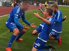 Fotbalisté Varnsdorfu se radují z branky v druholigovém utkání proti Ústí nad...
