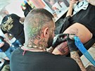 Druh�ho ro�n�ku festivalu Tattoo Grand Prix Brno se z��astnilo 212 tat�r�,...