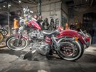 All Ride Show 2018