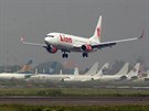 Letadlo Lion Air havarovalo 13 minut po odletu.