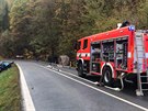 Na silnici mezi obcemi �el�zy a Tupadly na M�lnicku se srazilo osobn� auto s...
