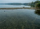 V přehradě Rozkoš chybí voda, od července jen odpouští (19. 10. 2018).