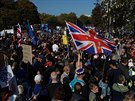 Tisíce Brit protestovalo proti brexitu v ulicích Londýna. (20. íjna 2018
