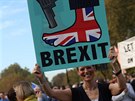 Tisíce Brit protestovalo proti brexitu v ulicích Londýna. (20. íjna 2018