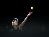 ESEM. Stylov zakonila prvn set Caroline Wozniack, dnsk tenistka trefila...