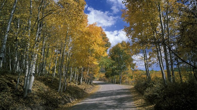 Oblast Fishlake National Forest