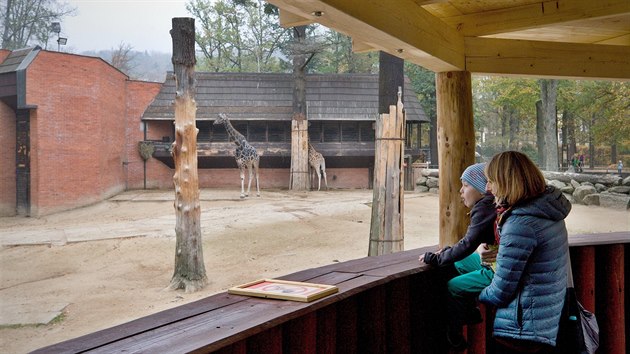 Bhem opravy vymnili emeslnci devn schodit a podesty. A tak ji zasteili. Devn konstrukce tak ochrn nvtvnky libereck zoo ped detm i ped prudkm sluncem.