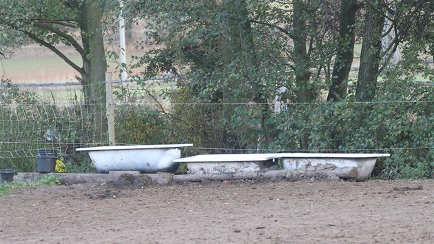 Vbh s koni ve Zbchu u Plzn, kde musela veterinka utratit jednoho podvyivenho a dehydrovanho kon.
