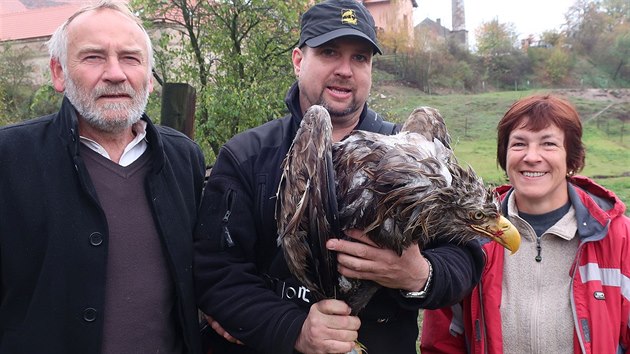Zv��ec� z�chran�� Karel Mako� s odchycen�m t�ce l�taj�c�m orlem mo�sk�m v �jezdu u Chanovic. (28. ��jna 2018)
