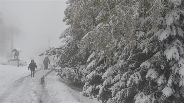Na Šumavě v noci na 28. října 2018 sněžilo. Místy napadlo až 13 centimetrů sněhu.