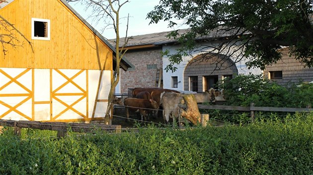 Kinec, okres Nymburk. Mln stoj na pln samot a je obklopen vlastnmi pozemky. 