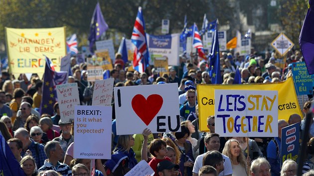 Tisce Brit protestovalo proti brexitu v ulicch Londna. (20. jna 2018