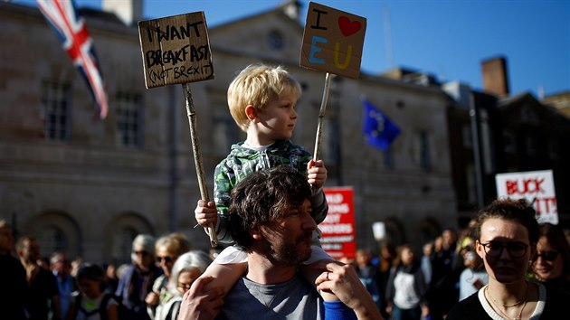 Tisce Brit protestovalo proti brexitu v ulicch Londna. (20. jna 2018)