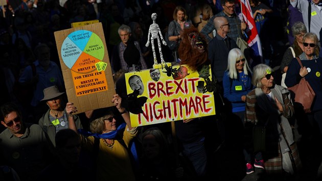 Tisce Brit protestovalo proti brexitu v ulicch Londna. (20. jna 2018)