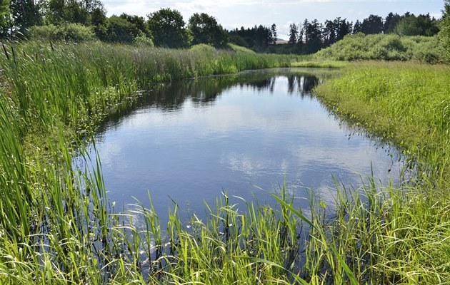 Obnovené rybník Dolejí u Dolní Lhoty na Klatovsku.