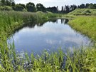 Obnovené rybník Dolejí u Dolní Lhoty na Klatovsku.