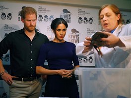 Princ Harry a vévodkyn Meghan pi návtv národní umlé líhn pták kiwi...