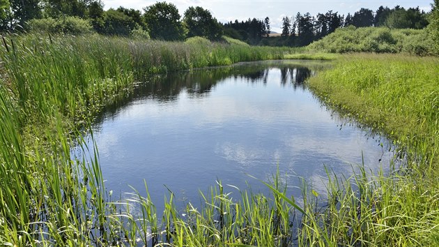 Obnovené rybník Dolejší u Dolní Lhoty na Klatovsku.