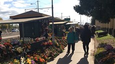 Stánky p�ed Úst�edním h�bitovem v Brn�.